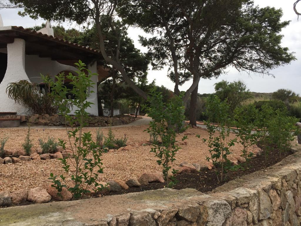 Appartamenti In Villa La Marinedda Изола Роса Екстериор снимка